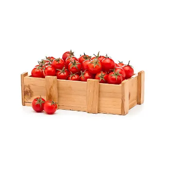 Tomato  (20)-4860069-18199.webp